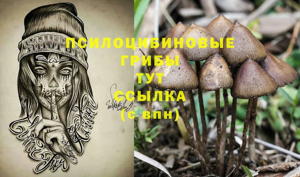мдма Верхний Тагил