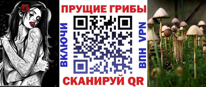 Галлюциногенные грибы MAGIC MUSHROOMS  купить  сайты  Казань 